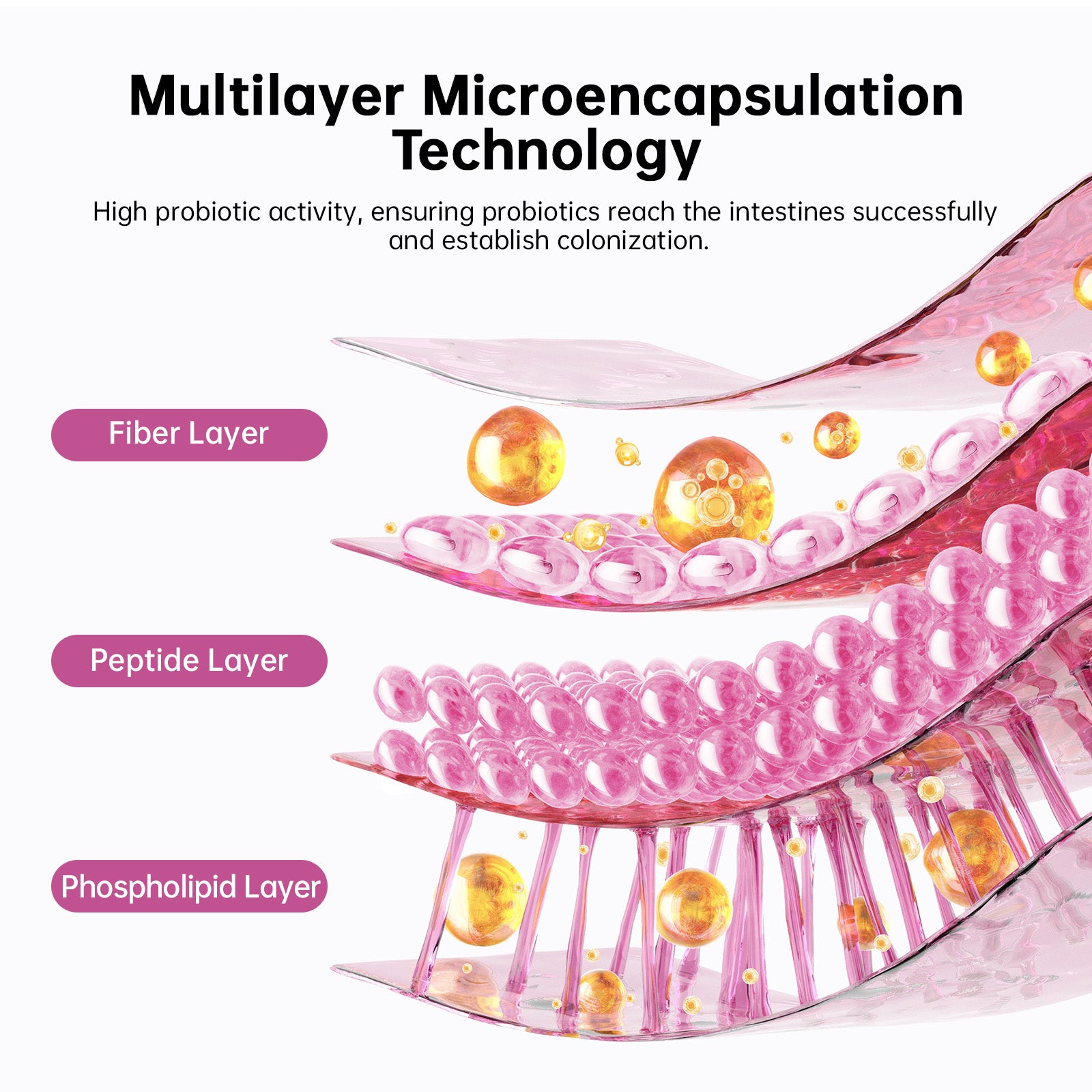 Women's complex probiotics