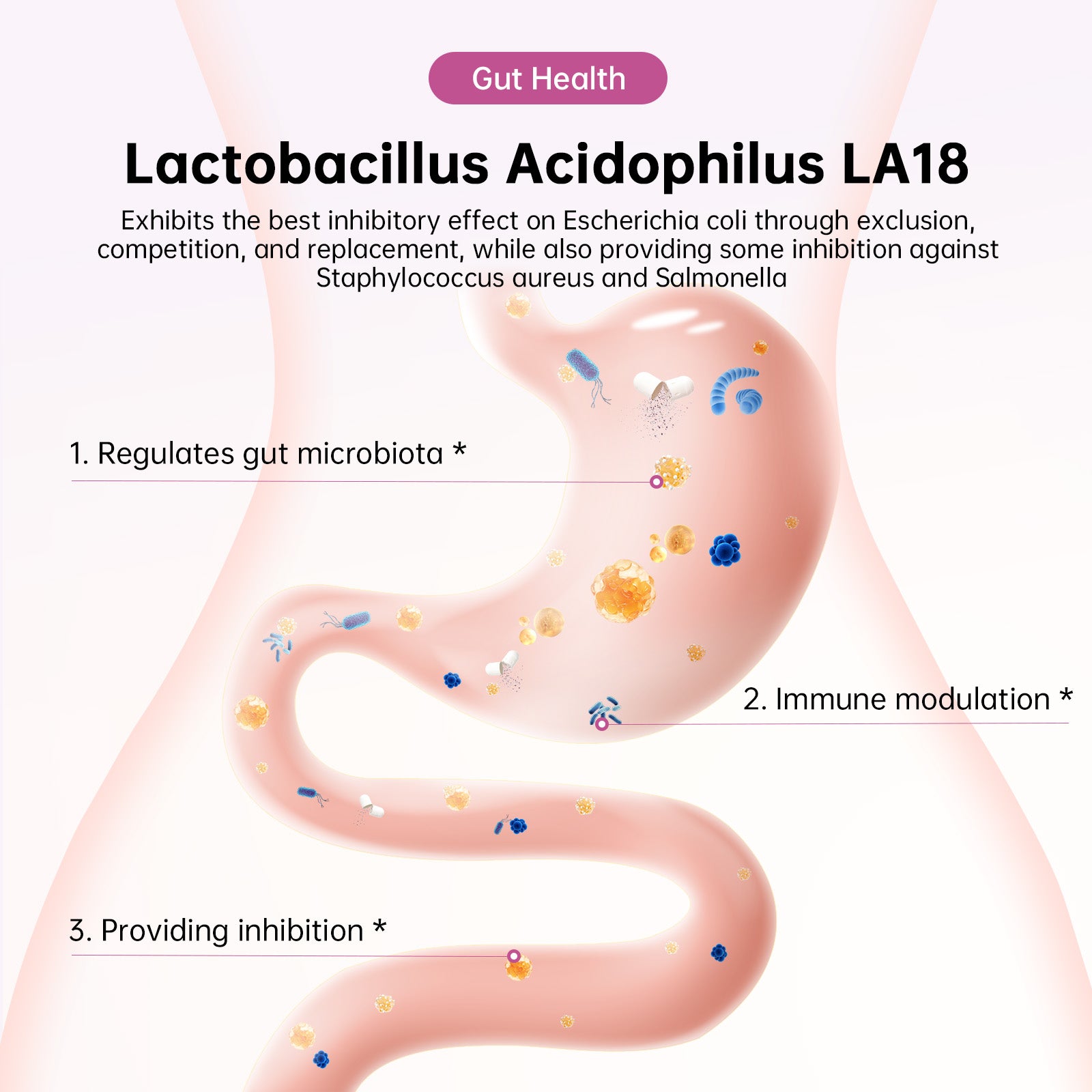 Women's complex probiotics
